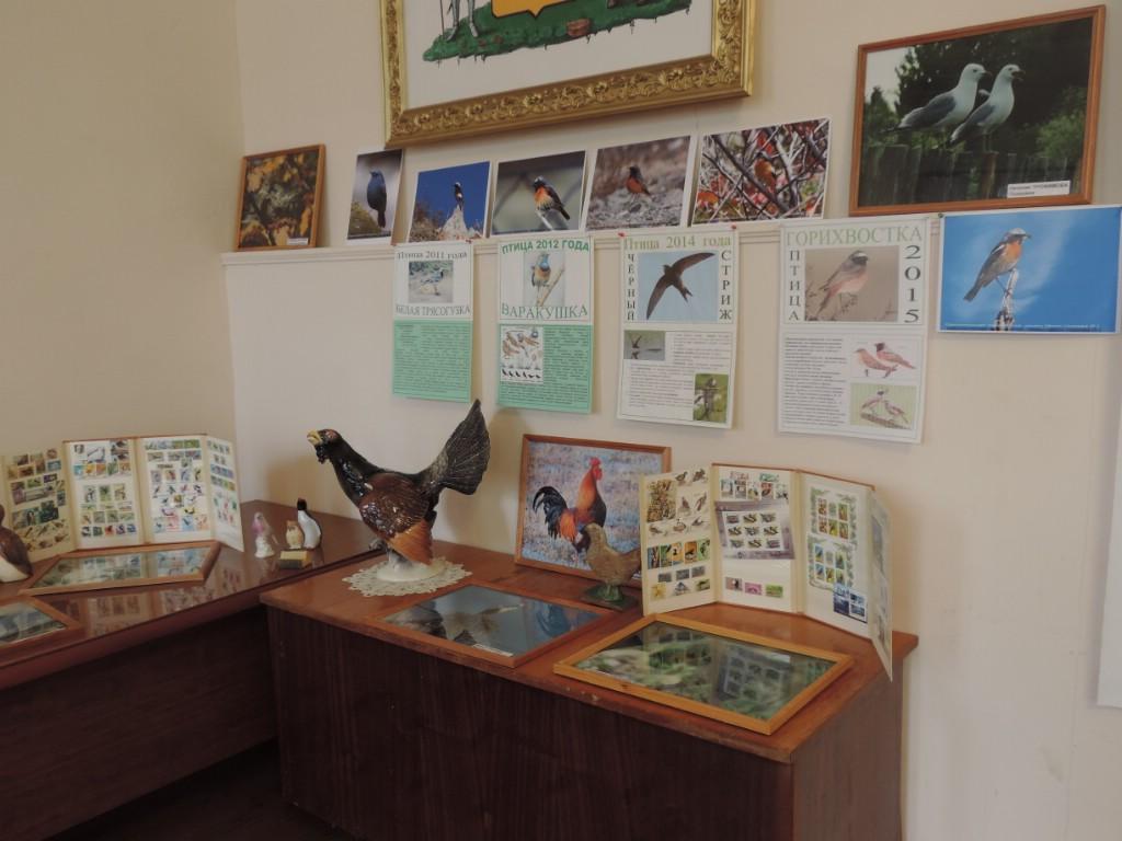 Фото: С. Шадрунов Фото: С. Шадрунов